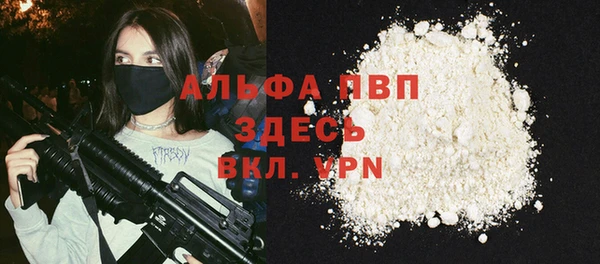 крисы Абаза