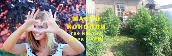 крисы Абаза