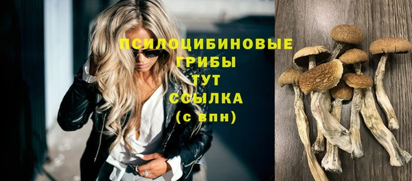 индика Пролетарск