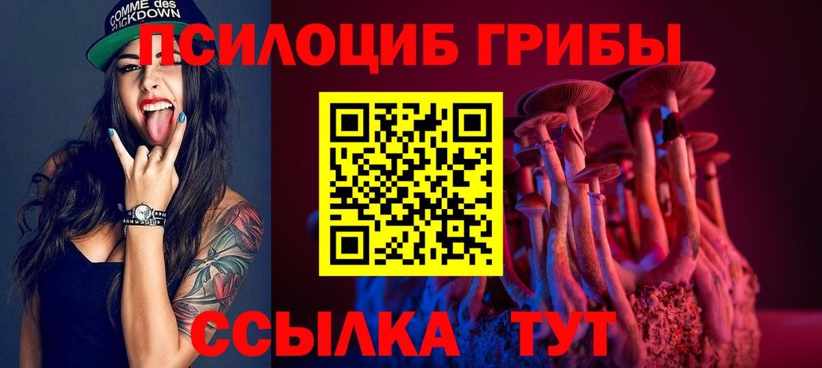 Псилоцибиновые грибы Psilocybe Ухта